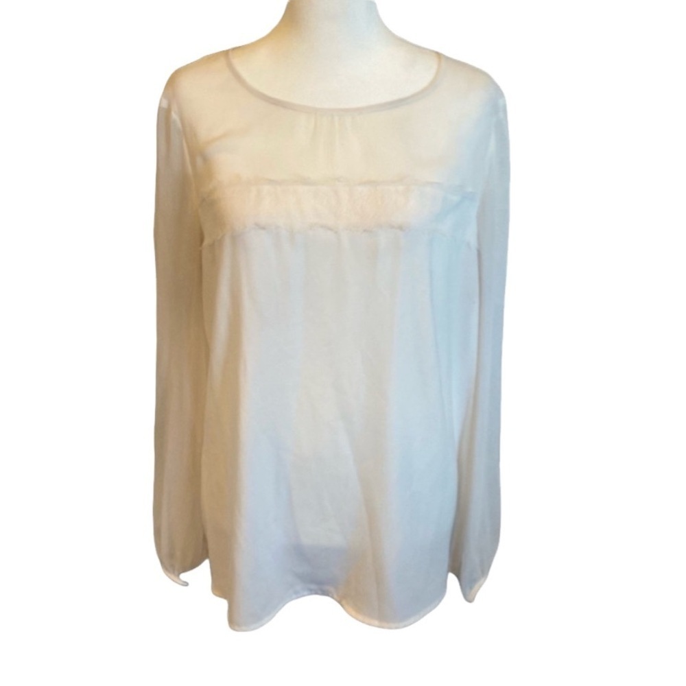 Apt 9 semi-sheer white long sleeve blouse. Decorative bodice. Size L. N